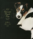 世界の美しい犬101/レイチェル・ヘイル・マッケナ/山根義久/大浜千尋【1000円以上送料無料】