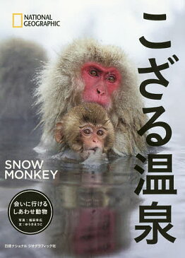 こざる温泉　会いに行けるしあわせ動物／福田幸広／ゆうきえつこ／萩原敏夫【1000円以上送料無料】