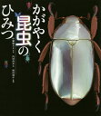 かがやく昆虫のひみつ／中瀬悠太／・写真内村尚志／野村周平【1000円以上送料無料】