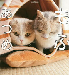 もふあつめ 映画「ねこあつめの家」Official Photo Book／Hit‐Point「映画ねこあつめ」製作委員会／AMGエンタテインメント／五十嵐健太【1000円以上送料無料】