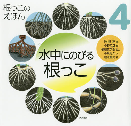 根っこのえほん 4【1000円以上送料無料】