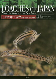 日本のドジョウ 形態・生態・文化と図鑑/中島淳/内山りゅう【1000円以上送料無料】