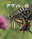 ぜんぶわかる!アゲハ／新開孝／蟻川謙太郎／子供／絵本