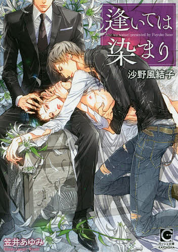 逢いては染まり／沙野風結子【1000円以上送料無料】