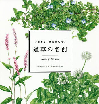 子どもと一緒に覚えたい道草の名前/稲垣栄洋/加古川利彦【1000円以上送料無料】