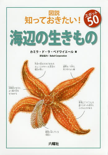 図説知っておきたい!スポット50海辺の生きもの／カミラ・ド・ラ・ベドワイエール／BabelCorporation【1000円以上送料無料】