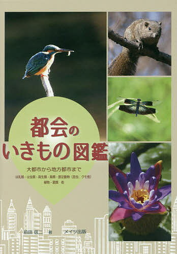 都会のいきもの図鑑 大都市から地方都市まで ほ乳類・は虫類・両生類・鳥類・節足動物〈昆虫、クモ他〉植物・菌類他／前田信二【1000円以上送料無料】