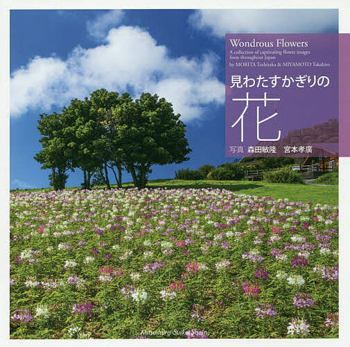※商品画像はイメージや仮デザインが含まれている場合があります。帯の有無など実際と異なる場合があります。著者森田敏隆(写真) 宮本孝廣(写真)出版社光村推古書院発売日2016年04月ISBN9784838105465ページ数167Pキーワードみわたすかぎりのはな ミワタスカギリノハナ もりた としたか みやもと た モリタ トシタカ ミヤモト タ9784838105465内容紹介海からの冷たい風をものともせず咲くスイセン、里に春を告げるモモやナノハナ。高山植物は短い夏を謳歌し、秋にはヒガンバナと稲穂が日本の原風景を演出する。辺りいちめんに咲き誇り、劇的に風景を染め上げる花々。ワイドな画面を多用し、見わたすかぎりの花景色に迫る圧巻の写真集。※本データはこの商品が発売された時点の情報です。