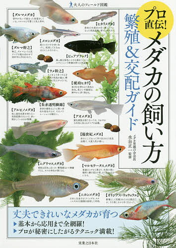 プロ直伝 メダカの飼い方繁殖&交配ガイド/水谷正一 1000円以上