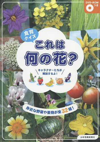 食育クイズこれは何の花? 身近な野菜や果物が全32種!／少年写真新聞社『給食ニュース』編集部【1000円以上送料無料】