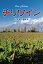 チリワイン/山本博/遠藤誠【1000円以上送料無料】 1,980円
