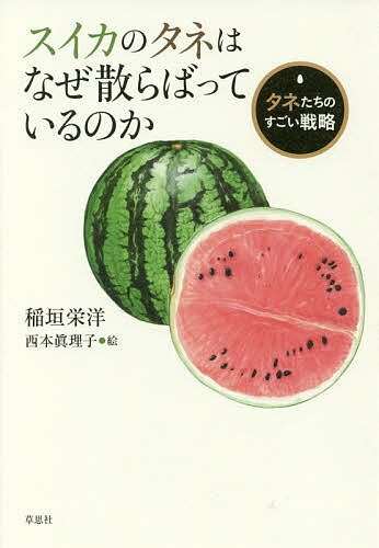 スイカのタネはなぜ散らばっているのか タネたちのすごい戦略／稲垣栄洋／西本眞理子【1000円以上送料無料】