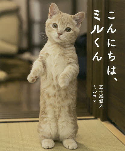 こんにちは、ミルくん／五十嵐健太／ミルママ【1000円以上送料無料】