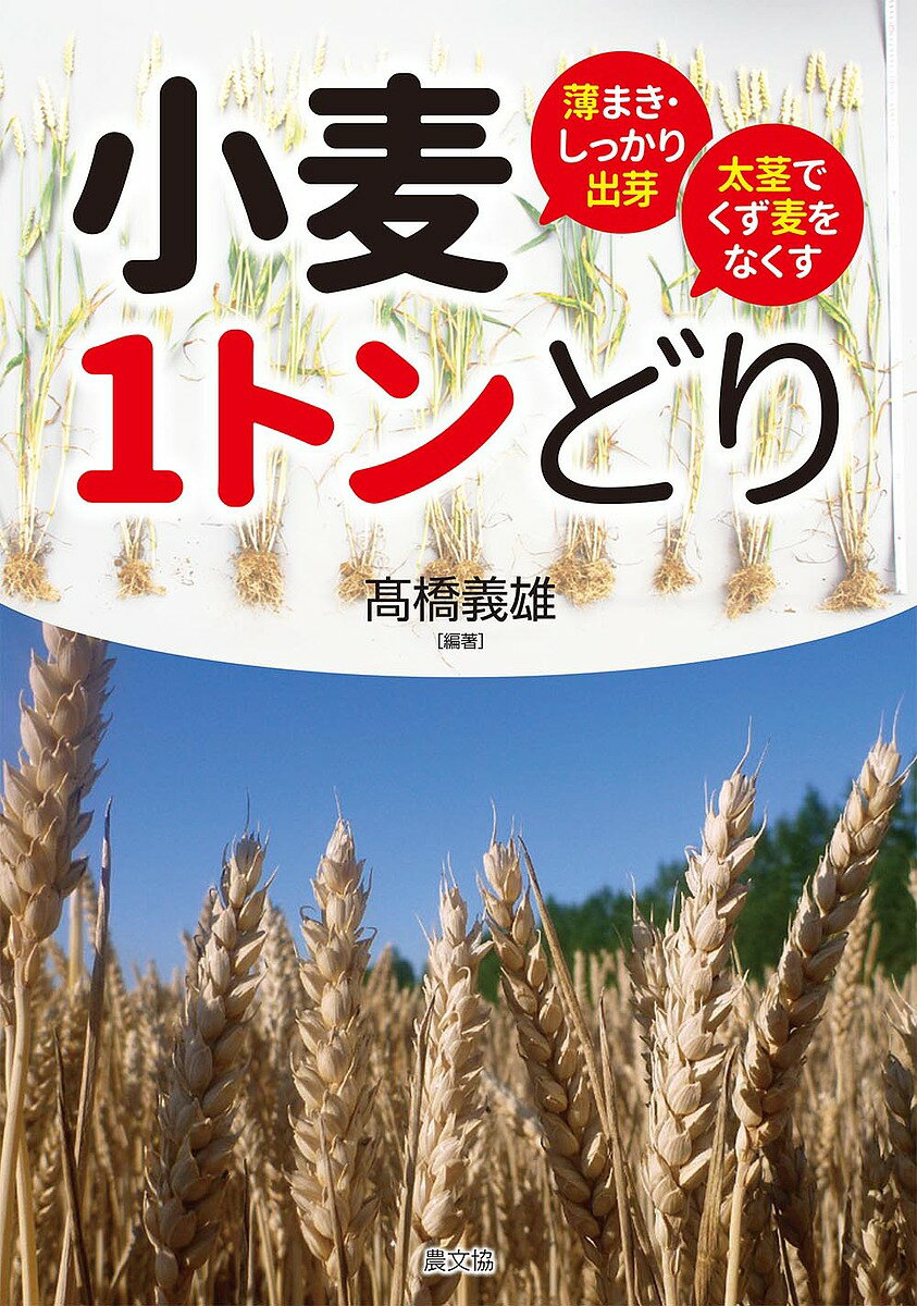 【送料無料】小麦1トンどり 薄まき・しっかり出芽太茎でくず麦をなくす／高橋義雄