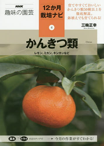 かんきつ類 レモン、ミカン、キンカンなど／三輪正幸【1000円以上送料無料】