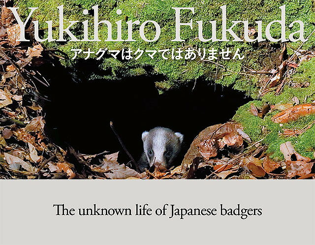 アナグマはクマではありません　The　unknown　life　of　Japanese　badgers／福田幸広／・文田中浩／ゆうきえつこ【1000円以上送料無料】