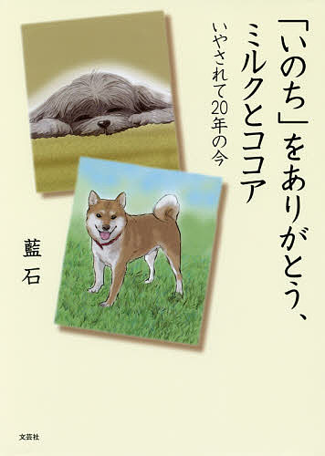 Unused Book - 【送料無料】「いのち」をありがとう、ミルクとココア いやされて20年の今／藍石