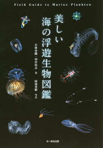 Zoology - 【送料無料】美しい海の浮遊生物図鑑／若林香織／田中祐志／阿部秀樹
