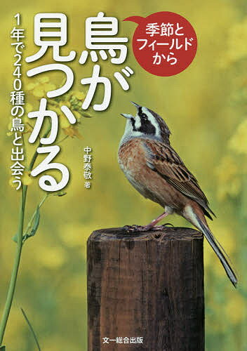 季節とフィールドから鳥が見つかる 1年で240種の鳥と出会う／中野泰敬【1000円以上送料無料】