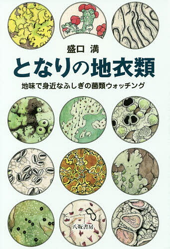 となりの地衣類 地味で身近なふしぎの菌類ウォッチング／盛口満【1000円以上送料無料】