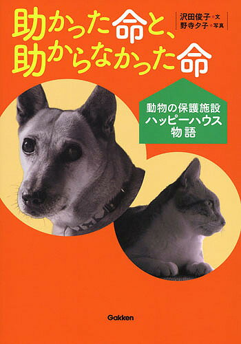 助かった命と、助からなかった命 動物の保護施設ハッピーハウス物語／沢田俊子／野寺夕子【1000円以上送料無料】