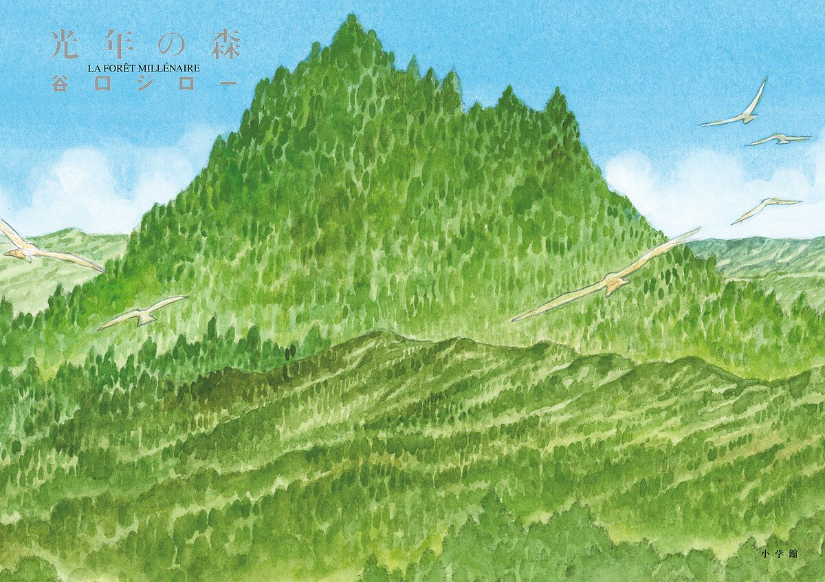 【送料無料】光年の森／谷口ジロー