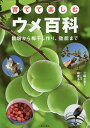 育てて楽しむウメ百科 栽培から梅干し作り、効能まで／三輪正幸