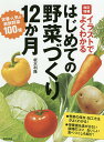 イラストでよくわかるはじめての野菜づくり12か月 定番・人気の新鮮野菜100種／板木利隆