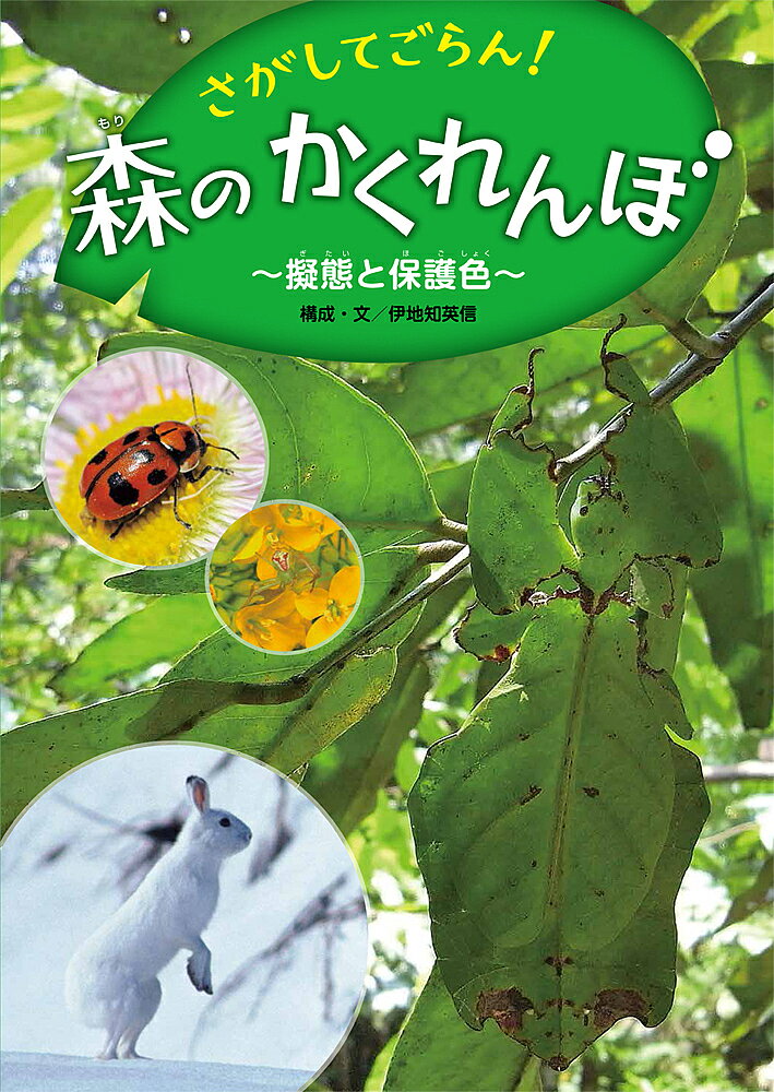 著者伊地知英信(構成)出版社あかね書房発売日2017年12月ISBN9784251067326ページ数49Pキーワードプレゼント ギフト 誕生日 子供 クリスマス 子ども こども さがしてごらんもりのかくれんぼぎたいと サガシテゴランモリノカクレンボギタイト いじち えいしん イジチ エイシン9784251067326内容紹介生き物の姿形のおもしろさ、不思議さを大迫力の大型写真絵本で体感！ 身を守るために体の色や形はどうなっている？ 森や林の葉っぱや草、枝などに変身してかくれるもの、土や石、木の幹、雪原などの背景にかくれて敵の目をあざむくもの、花や葉にかくれて獲物をねらうもの、毒をもつものに似た姿をして敵だますもの……、いろいろな生き物の「擬態と保護色」を分かりやすく紹介ています。※本データはこの商品が発売された時点の情報です。目次どこにいるのかな？/だれがいるのかな？/これはいったいなに？/石がごろごろかくれんぼ！/木のうえでかくれんぼ！/雪の山でかくれんぼ！/なにかがかくれているぞ！/たくさんの花がさいているね！/あっ！にたもようのチョウがたくさん！/あっ！にたもようのヘビがたくさん！〔ほか〕