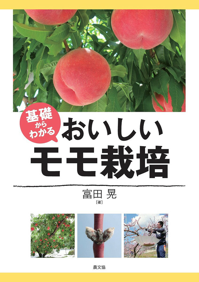 著者富田晃(著)出版社農山漁村文化協会発売日2018年02月ISBN9784540161186ページ数118Pキーワードきそからわかるおいしいももさいばい キソカラワカルオイシイモモサイバイ とみた あきら トミタ アキラ9784540161186内容紹介施肥、整枝剪定の「樹勢管理」と、摘蕾・摘花/果の「着果調節」を軸に、安定高収のための基礎をていねいに解説。味の不揃い、待ったなしの軽労化対策など現場の課題に、長年の研究・指導の経験から答える。※本データはこの商品が発売された時点の情報です。目次おいしいモモづくりの基本—おさえておきたい生育特性/基本編（開園・植え付けと若木の管理/モモの有望品種）/実際編（12〜2月 休眠期から春先の作業（整枝・せん定、潅水、防除）/3〜4月 開花・結実期の作業（摘蕾・摘花、人工受粉、潅水）/5月 幼果期の作業（摘果、袋掛けほか）/6〜7月 果実肥大期の作業（着色管理、新梢管理、園地の排水対策・防除）/7〜8月 収穫期の作業（収穫、出荷）/9〜11月 収穫後の作業（縮間伐、秋季せん定、土づくり、施肥）/おもな病害虫と生理障害）