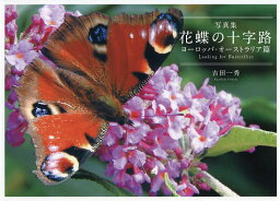 花蝶の十字路 Looking for Butterflies ヨーロッパ・オーストラリア篇 写真集／吉田一秀【1000円以上送料無料】