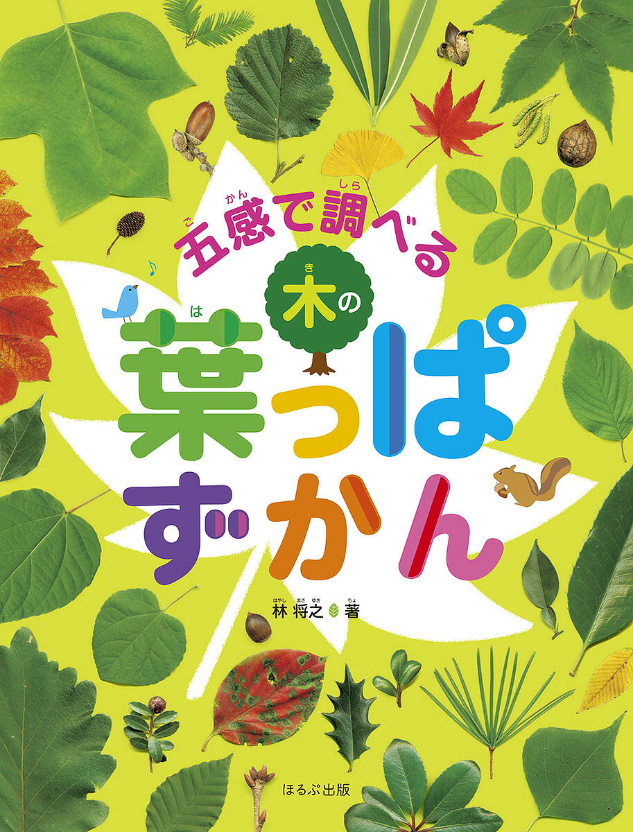 見る知る考えるずかん 五感で調べる木の葉っぱずかん／林将之【1000円以上送料無料】