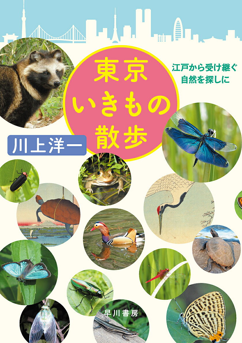 東京いきもの散歩 江戸から受け継ぐ自然を探しに／川上洋一【1000円以上送料無料】