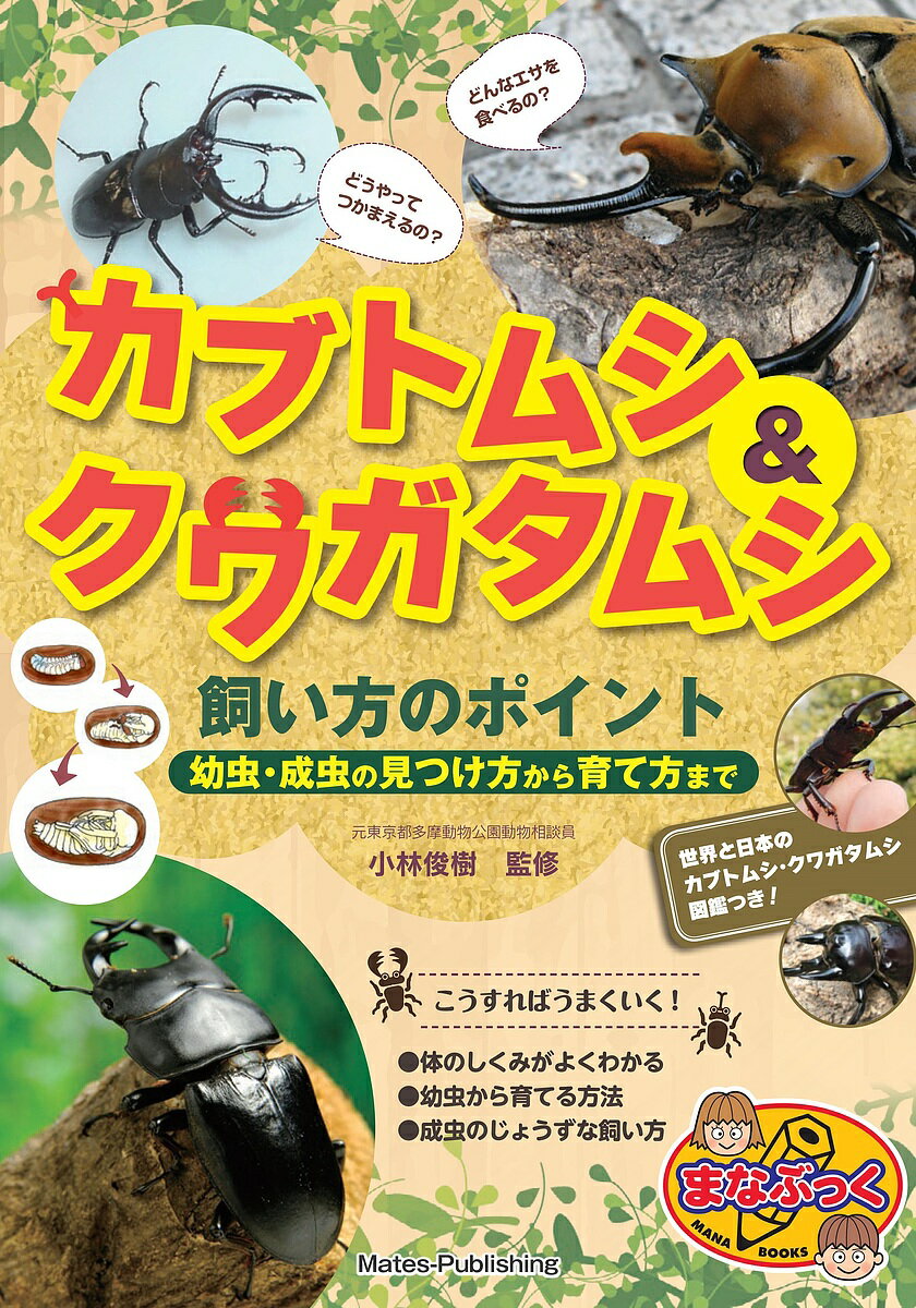 カブトムシ＆クワガタムシ飼い方のポイント　幼虫・成虫の見つけ方から育て方まで／小林俊樹【1000円以上送料無料】