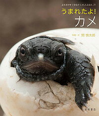 ＜最大10万pt当選※5千円以上購入&エントリー 8/20~31まで＞うまれたよ!カメ／関慎太郎