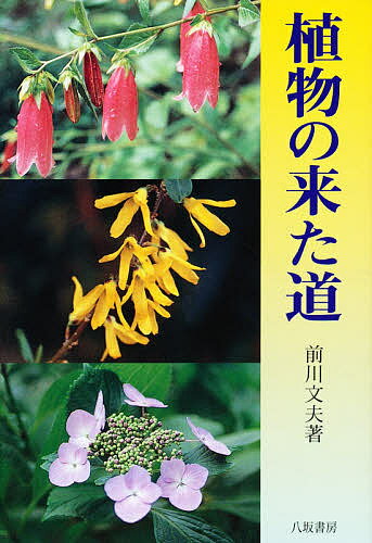 【送料無料】植物の来た道／前川文夫