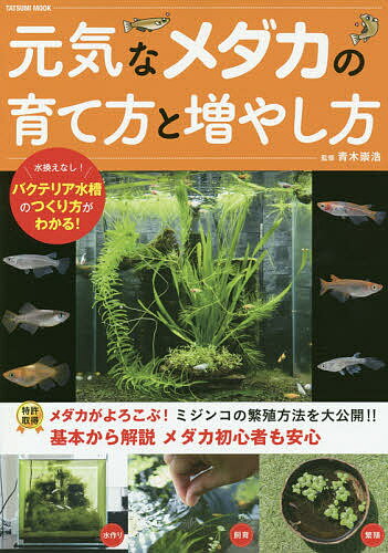 ミジンコの増やし方 みんな探してる人気モノ ミジンコの増やし方 ペット ペットグッズ ミジンコの増やし方 みんな探してる人気モノ ミジンコの増やし方 ペット ペットグッズ