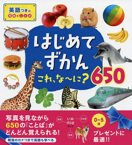 はじめてずかん これ、な～に?650 写