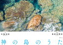 神の島のうた/中脇初枝/葛西亜理沙【1000円以上送料無料】|詳細画像