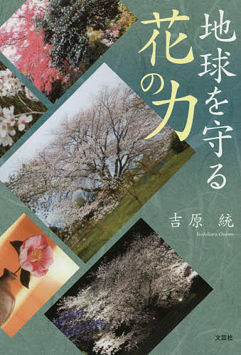 樂天商城 - 【送料無料】地球を守る花の力／吉原統