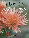 はじめてのスプレーマム 変わり咲きを楽しむ/上村遙【1000円以上送料無料】