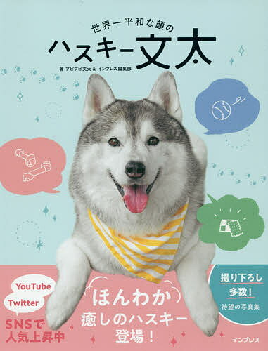 世界一平和な顔のハスキー文太／プピプピ文太／インプレス編集部【1000円以上送料無料】