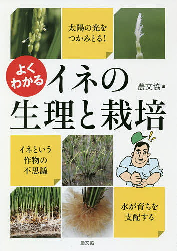 よくわかるイネの生理と栽培／農山漁村文化協会【1000円以上送料無料】