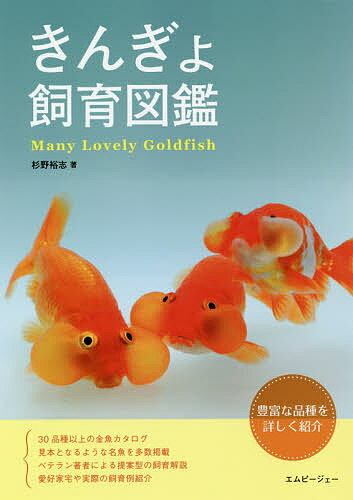 きんぎょ飼育図鑑 豊富な品種を詳しく紹介 Many Lovely Goldfish／杉野裕志【1000円以上送料無料】