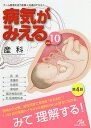 病気がみえる vol.10／医療情報科学研究所【1000円以上送料無料】