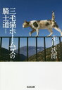三毛猫ホームズの騎士道 長編推理小説 新装版/赤川次郎【1000円以上送料無料】