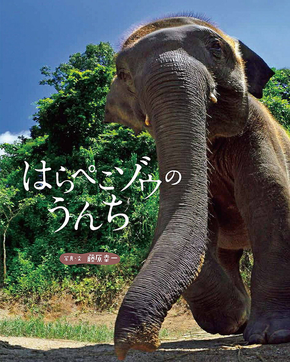 著者藤原幸一(写真)出版社偕成社発売日2018年11月ISBN9784033327808ページ数40Pキーワードえほん 絵本 プレゼント ギフト 誕生日 子供 クリスマス 子ども こども はらぺこぞうのうんち ハラペコゾウノウンチ ふじわら こういち フジワラ コウイチ9784033327808内容紹介ここは、赤道の近くにある、南アジアの国。森の中で、ぼくはとても大きなうんちをみつけました。うんちをした動物は……。アジアゾウは森にくらし、長い鼻を使って、葉っぱや草をたくさん食べ、水も大量に飲みます。だから、うんちも大きいのです。ところが、このゾウの森では、とてもこまったことが起きていました。もう長いこと、雨が一滴も空からふっていないのです。そうすると植物が育たず、葉っぱや草が少なくなり、ゾウは食べものや飲み水にもこまります。はらぺこになったゾウは……。ゾウや、さまざまな生きものがすむ熱帯雨林のジャングルに今、深刻な異変が起きています。※本データはこの商品が発売された時点の情報です。