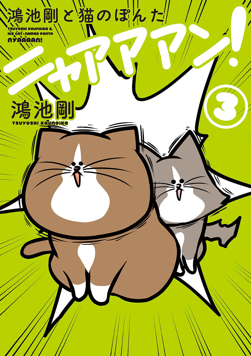 鴻池剛と猫のぽんたニャアアアン! 3／鴻池剛【1000円以上送料無料】のサムネイル