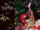 美しい写真絵巻/HASEO【1000円以上送料無料】