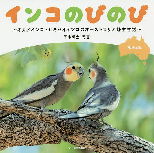 インコのびのび オカメインコ・セキセイインコのオーストラリア野生生活／岡本勇太【1000円以上送料無料】